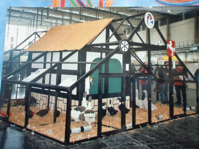 cqs1312827354x.JPG