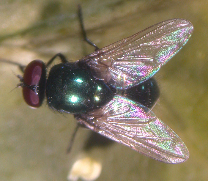 cqs1312840739g.JPG