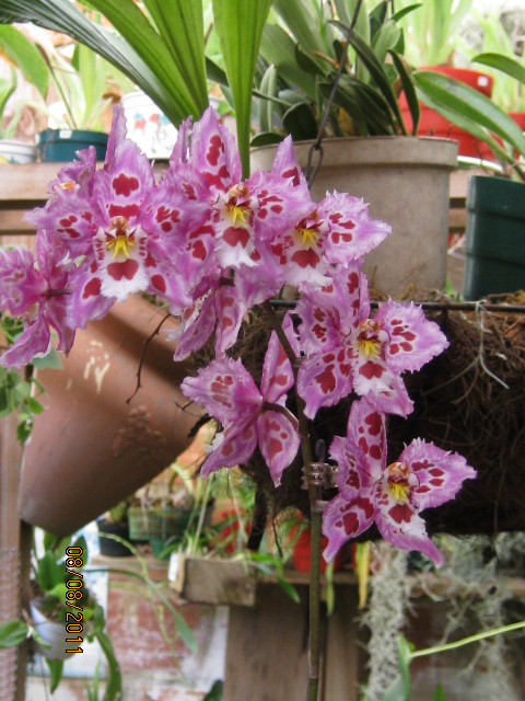 cqs1312846632w.JPG