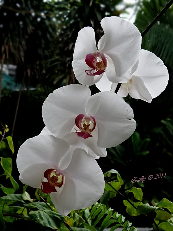 cqs1312938058x.jpg