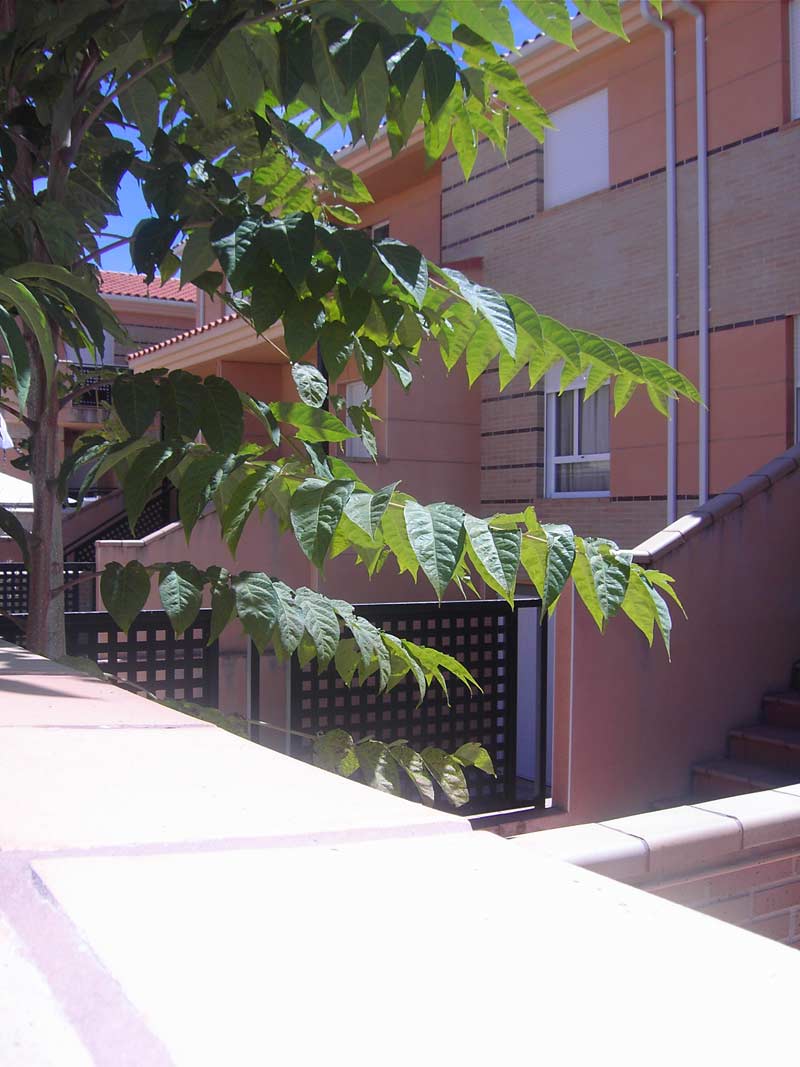 cqs1312977559l.JPG