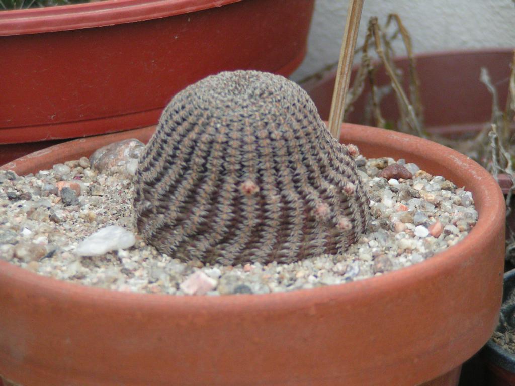cqs1312983417z.jpg