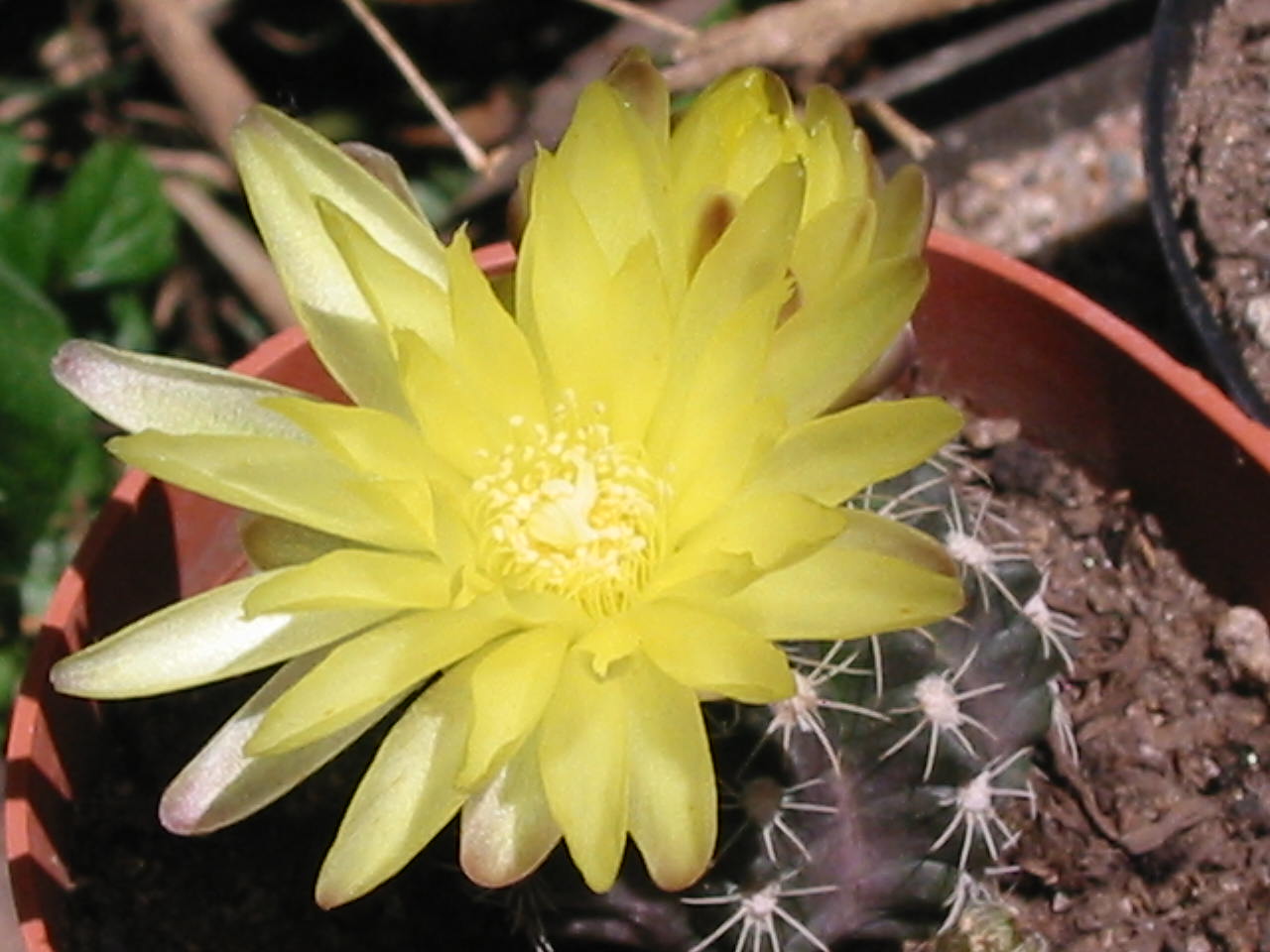 cqs1312984038s.jpg