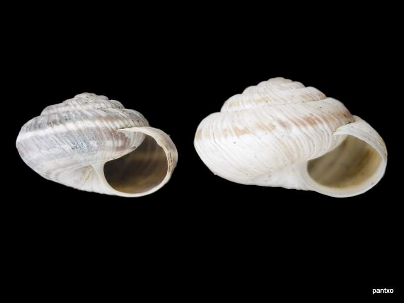 cqs1312998553b.jpg