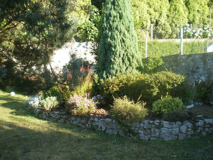 cqs1313001472a.JPG