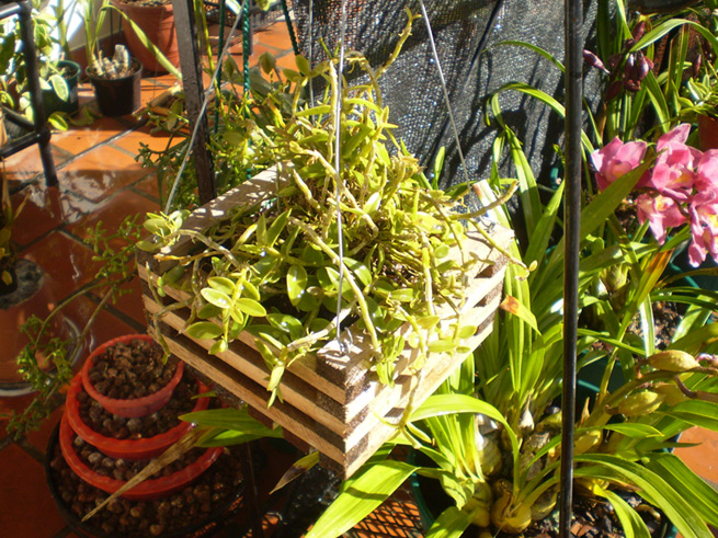 cqs1313090880h.jpg