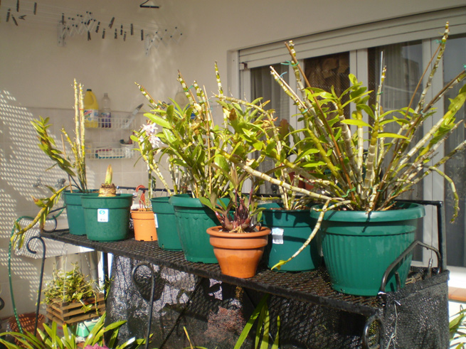 cqs1313090915q.jpg