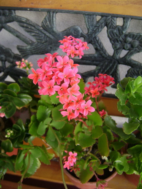 cqs1313095987u.jpg