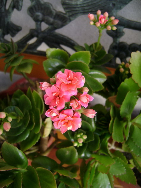 cqs1313096200y.jpg