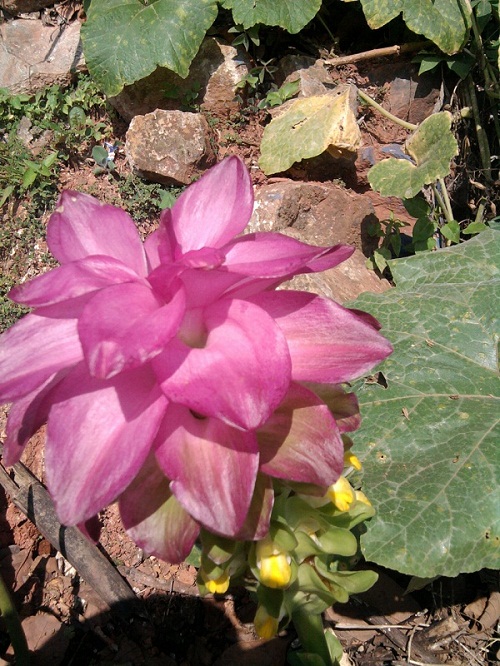 cqs1313109567m.jpg
