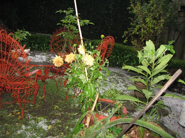 cqs1313110982z.jpg