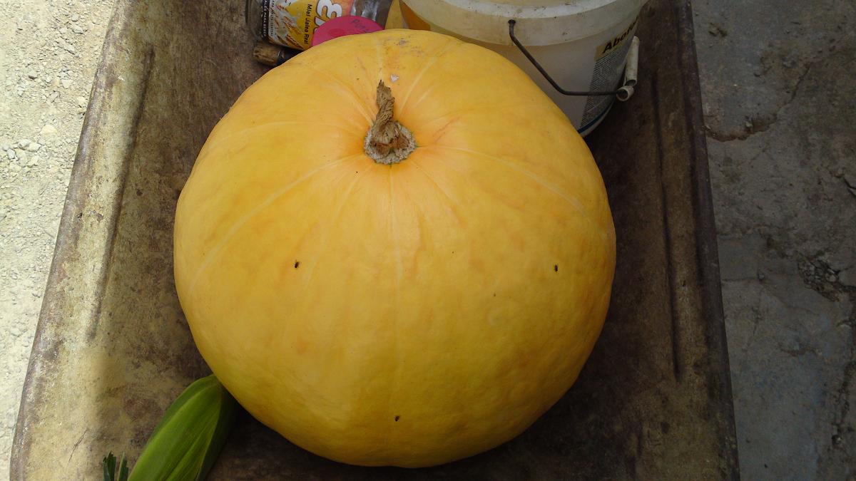 cqs1313157113w.JPG