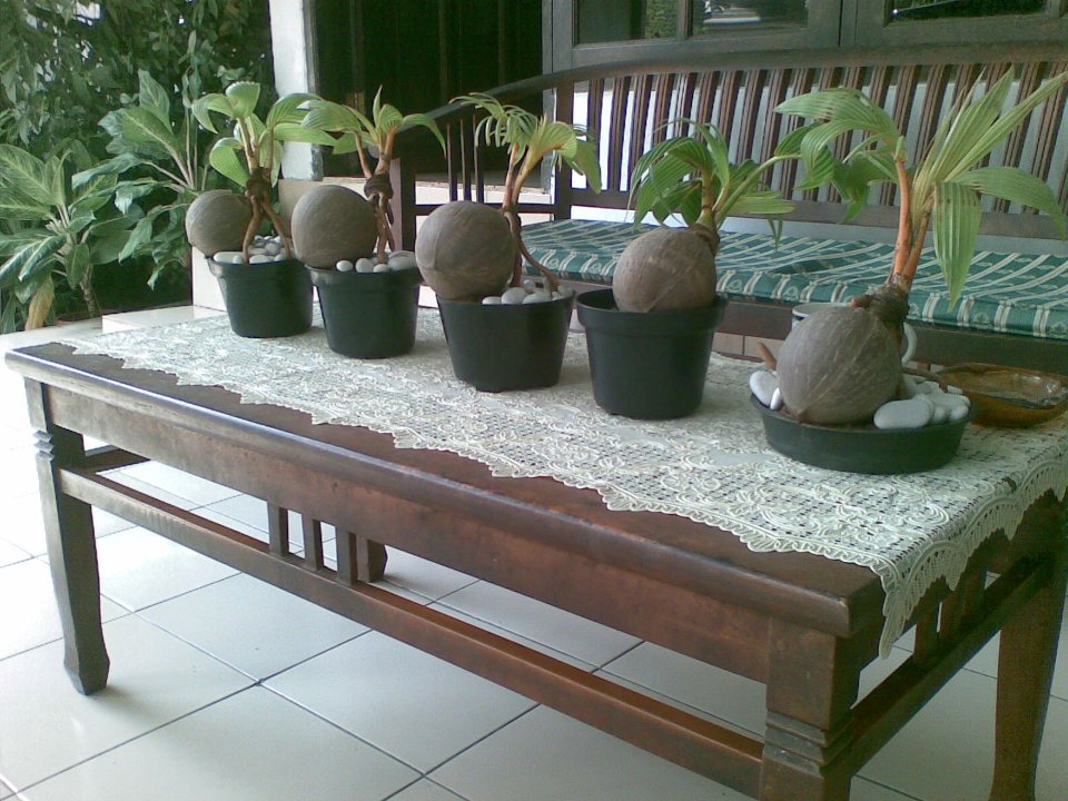 cqs1313201145w.jpg