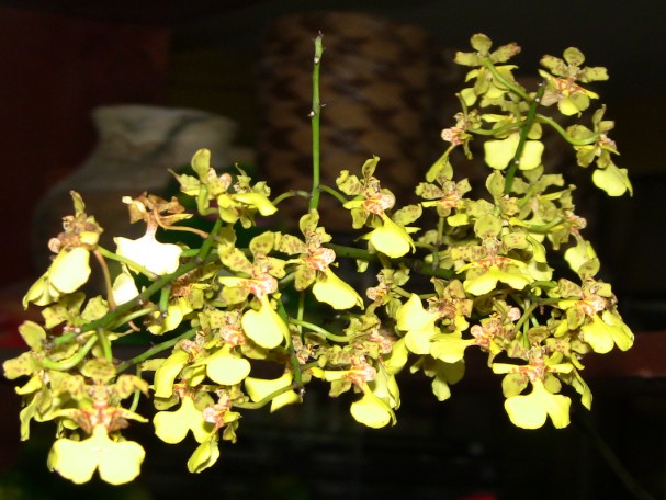 cqs1313208613h.jpg