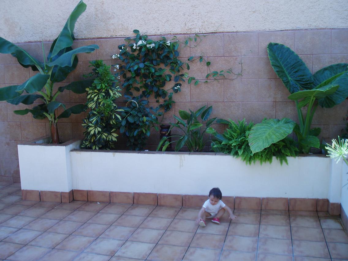 cqs1313408517a.JPG