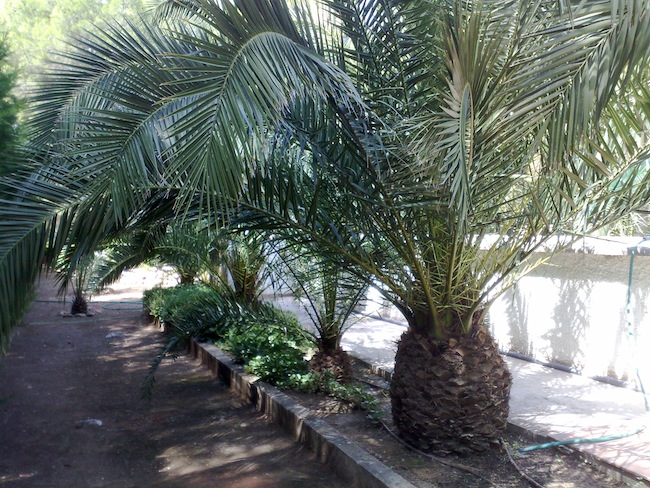 cqs1313494182i.jpg