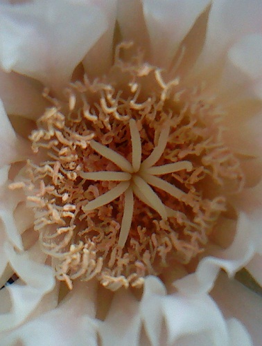 cqs1313523069y.JPG