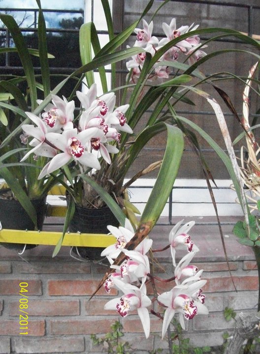 cqs1313581226a.jpg