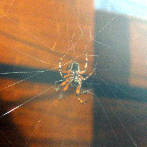 cqs1313638889t.JPG