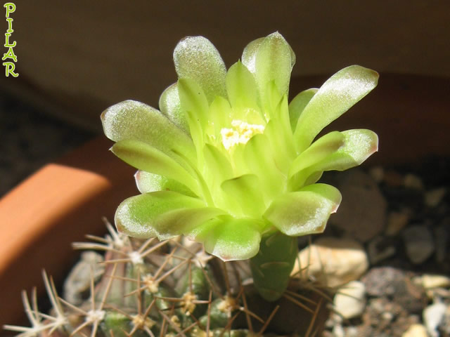 cqs1313664404b.jpg