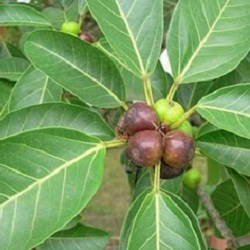 cqs1313677666m.jpg