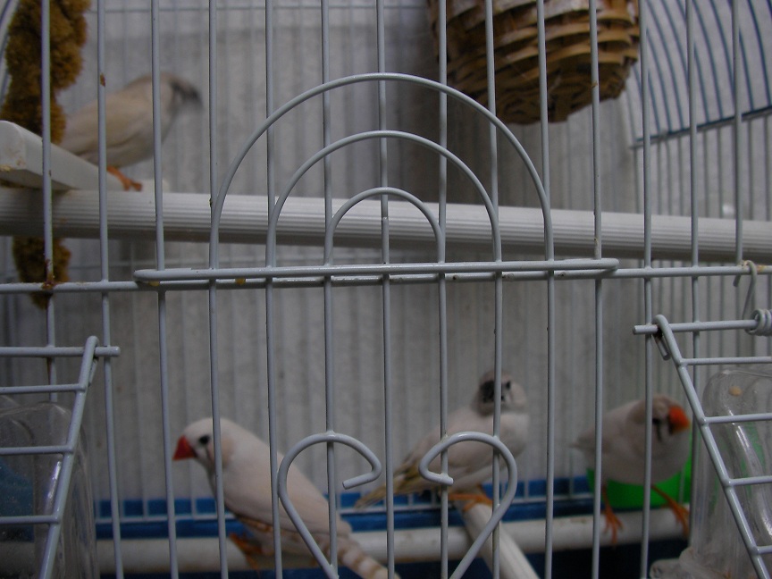 cqs1313684885r.JPG