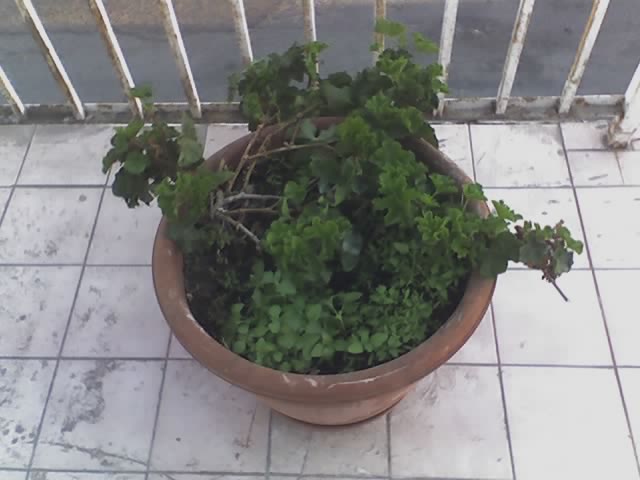 cqs1313720113e.jpg