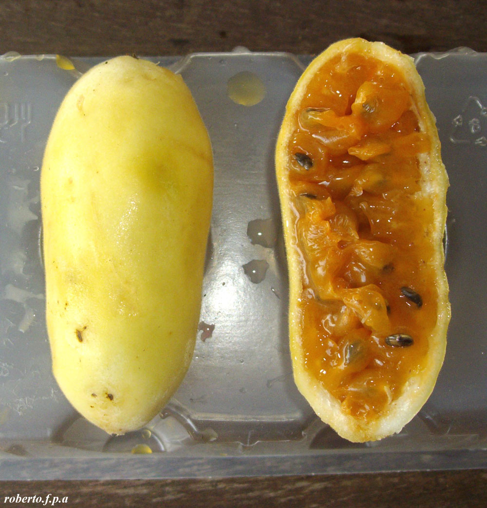 cqs1313788398l.jpg