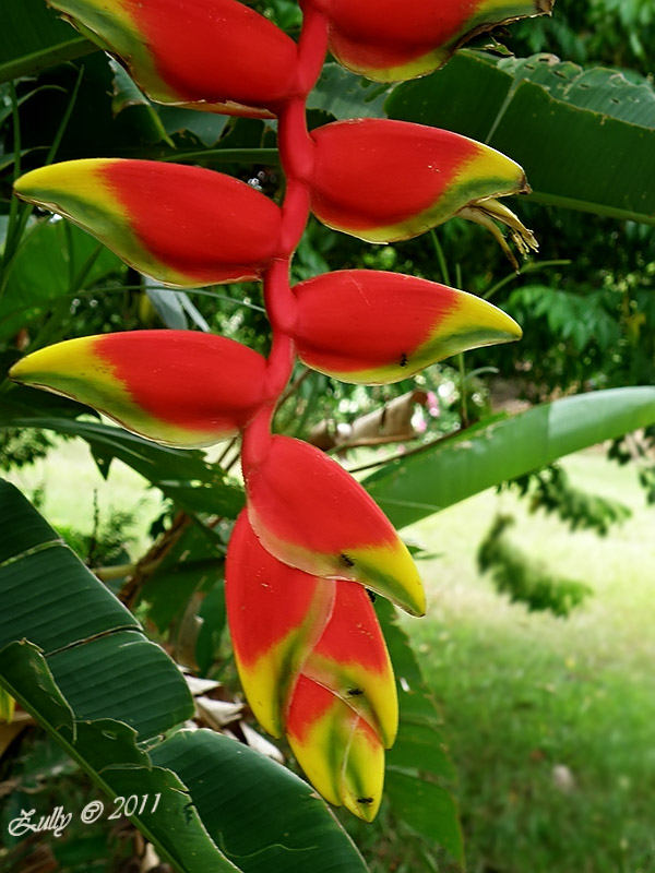 cqs1313795965u.jpg