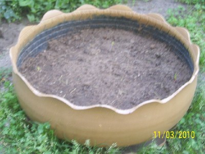 cqs1318625143d.jpg