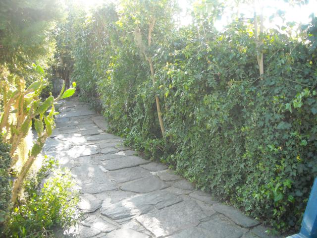 cqs1319124175d.jpg