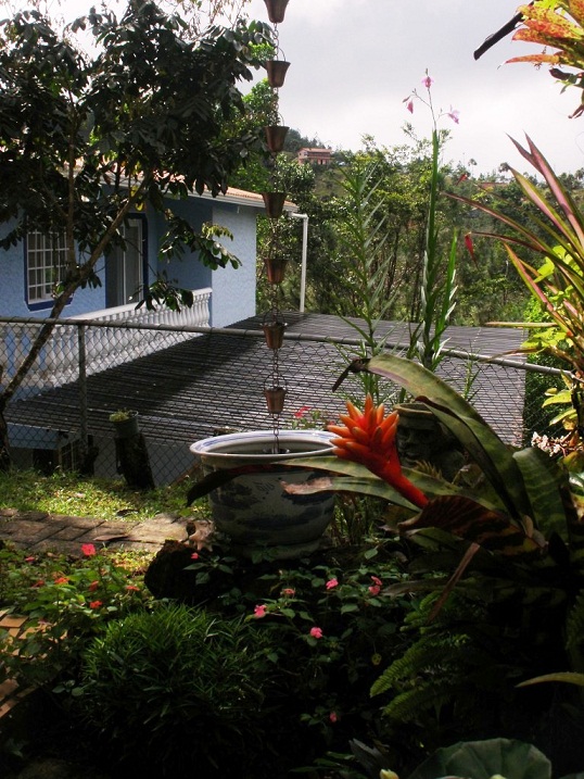 cqs1321972086c.JPG