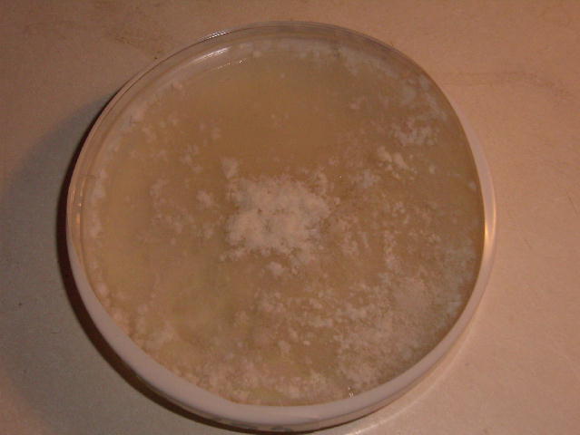 cqs1327255998l.jpg