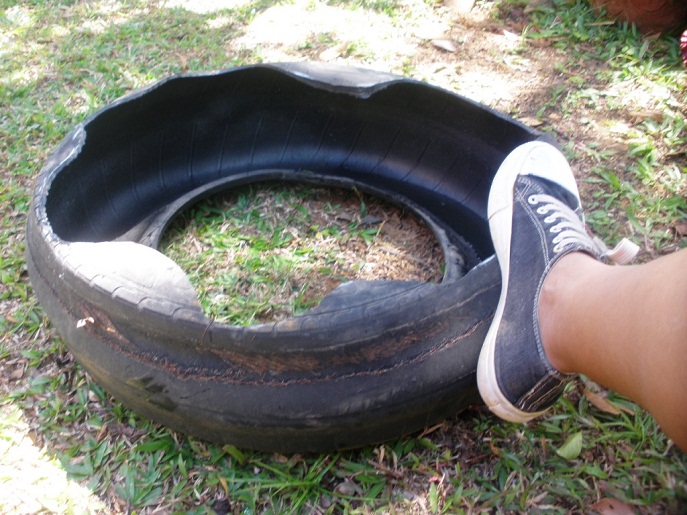 cqs1328574201s.JPG
