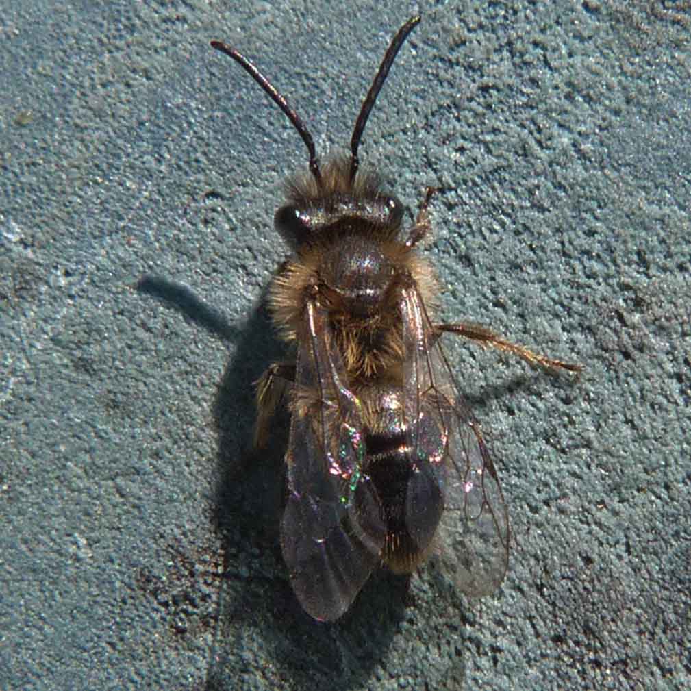 cqs1332446288u.jpg