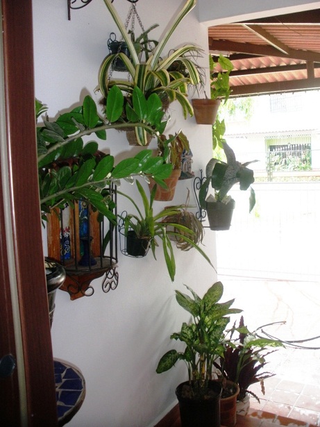cqs1334743368j.JPG