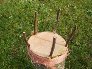 cqs1360952016h.jpg