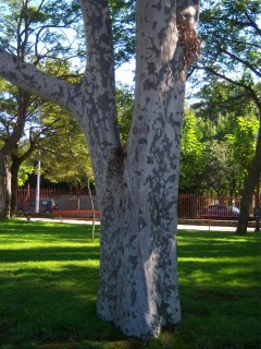 cqs1361114233i.jpg
