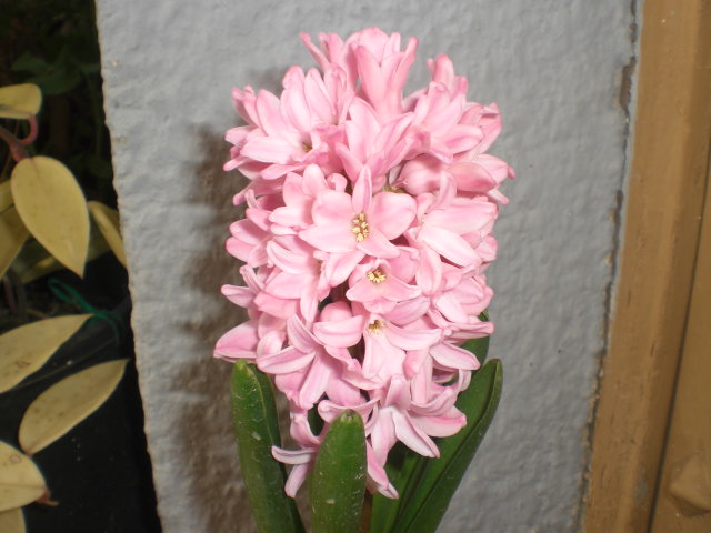 cqs1363092357t.JPG