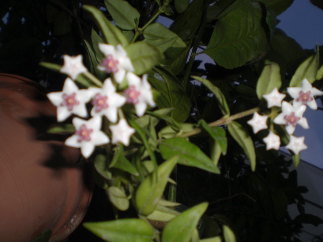 cqs1372934826c.JPG