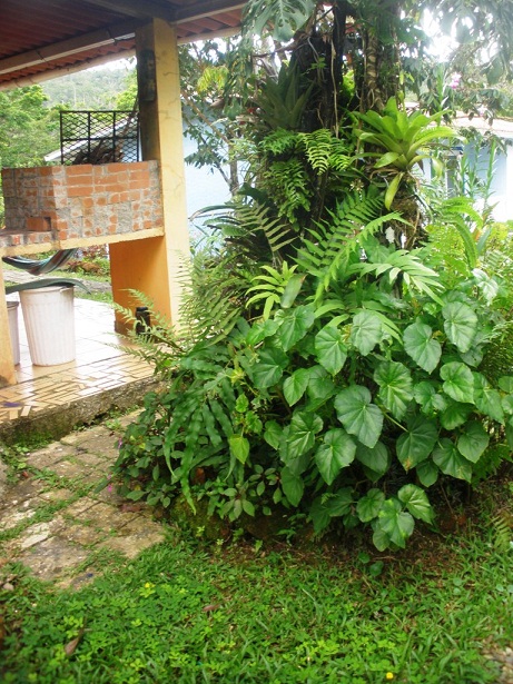 cqs1374397354y.JPG