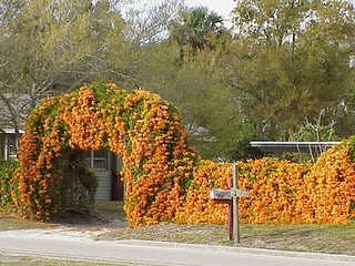 cqs1379943684w.jpg