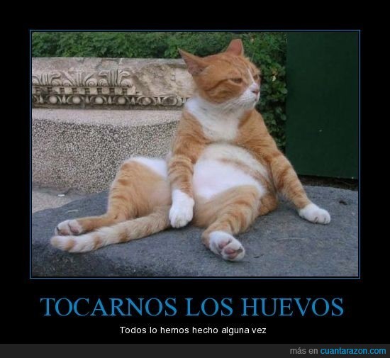 CR_19104_tocarnos_los_huevos.jpg