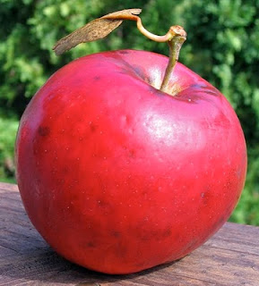 Crimson%2BCrisp.jpg