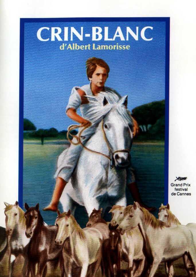 crin_blanc.jpg