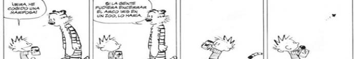 cropped-arcoirisblog.jpg