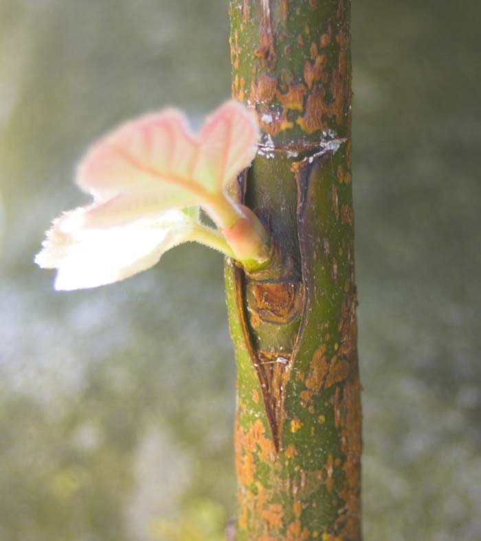 CRW_2042-01.jpg