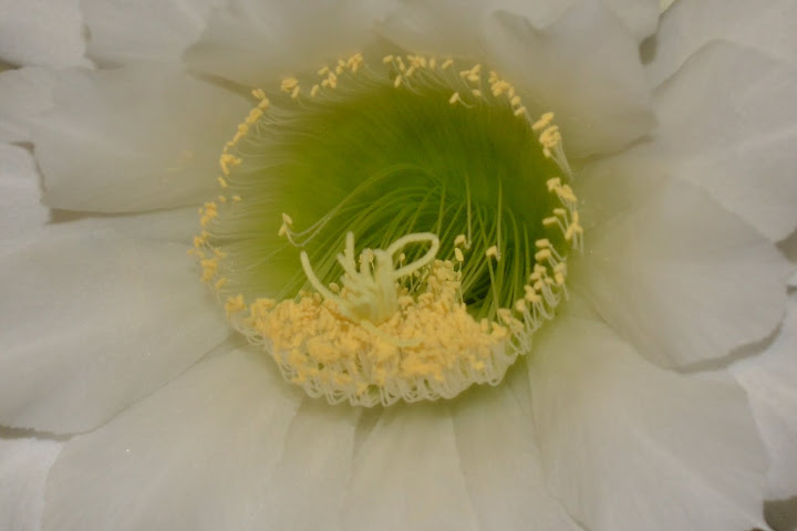CSC_0417.JPG
