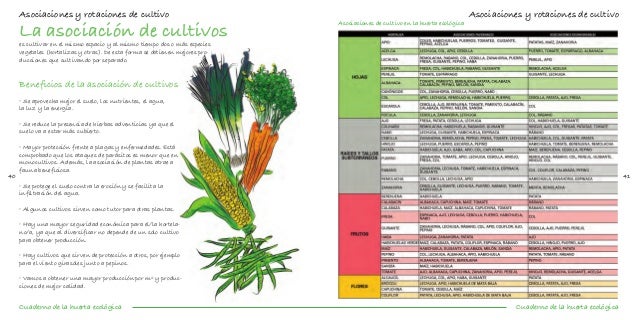 cuaderno-de-la-huerta-ecolgica-22-638.jpg