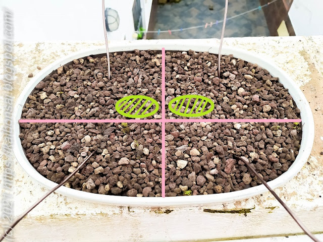 cuadrante.jpg